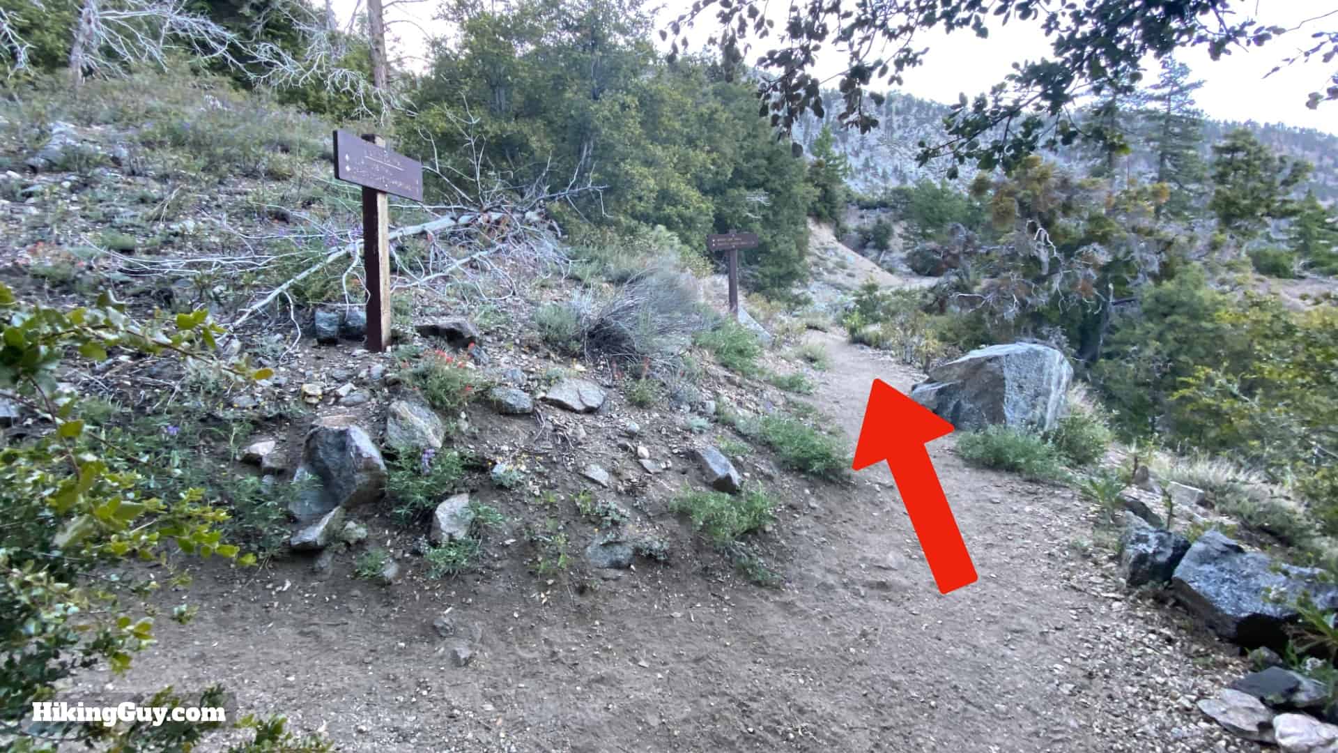 Mt Hawkins Loop Hike Directions 12