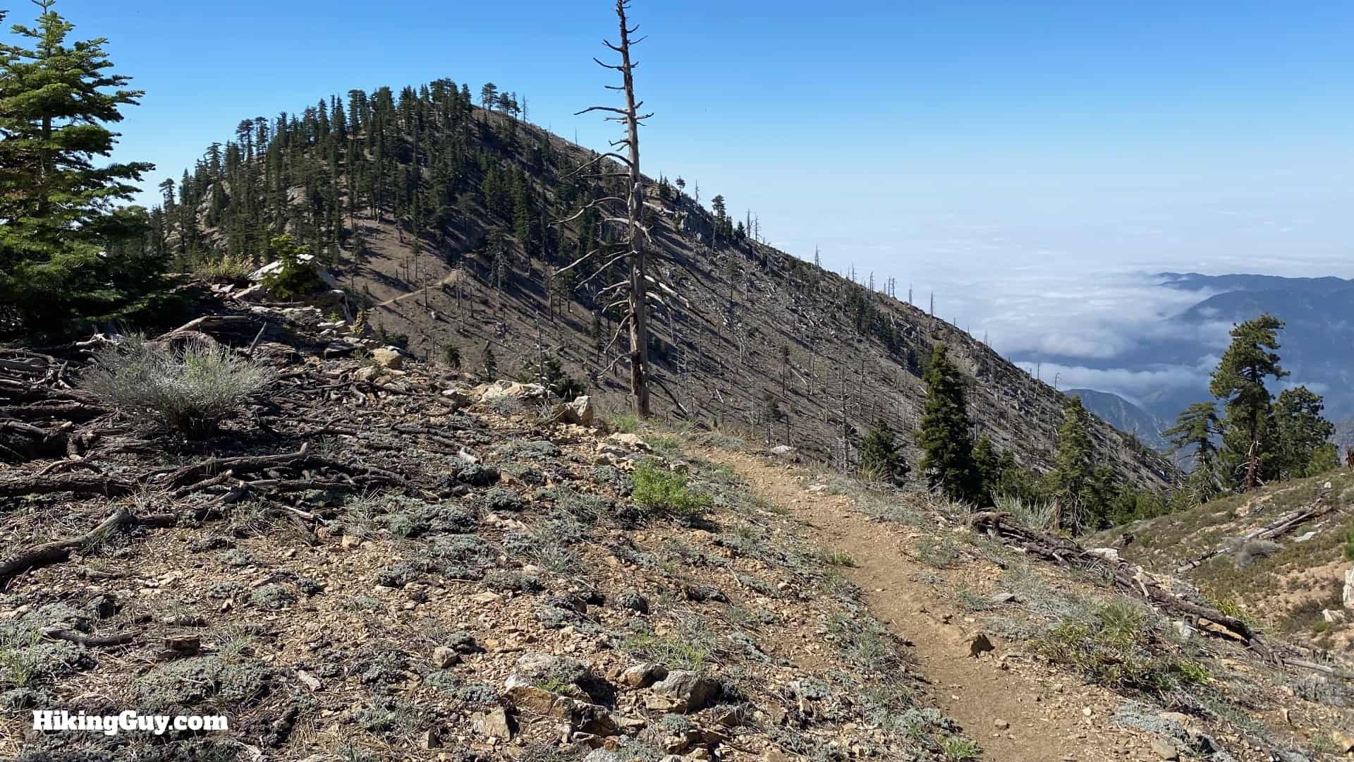Mt Hawkins Loop Hike Directions 34
