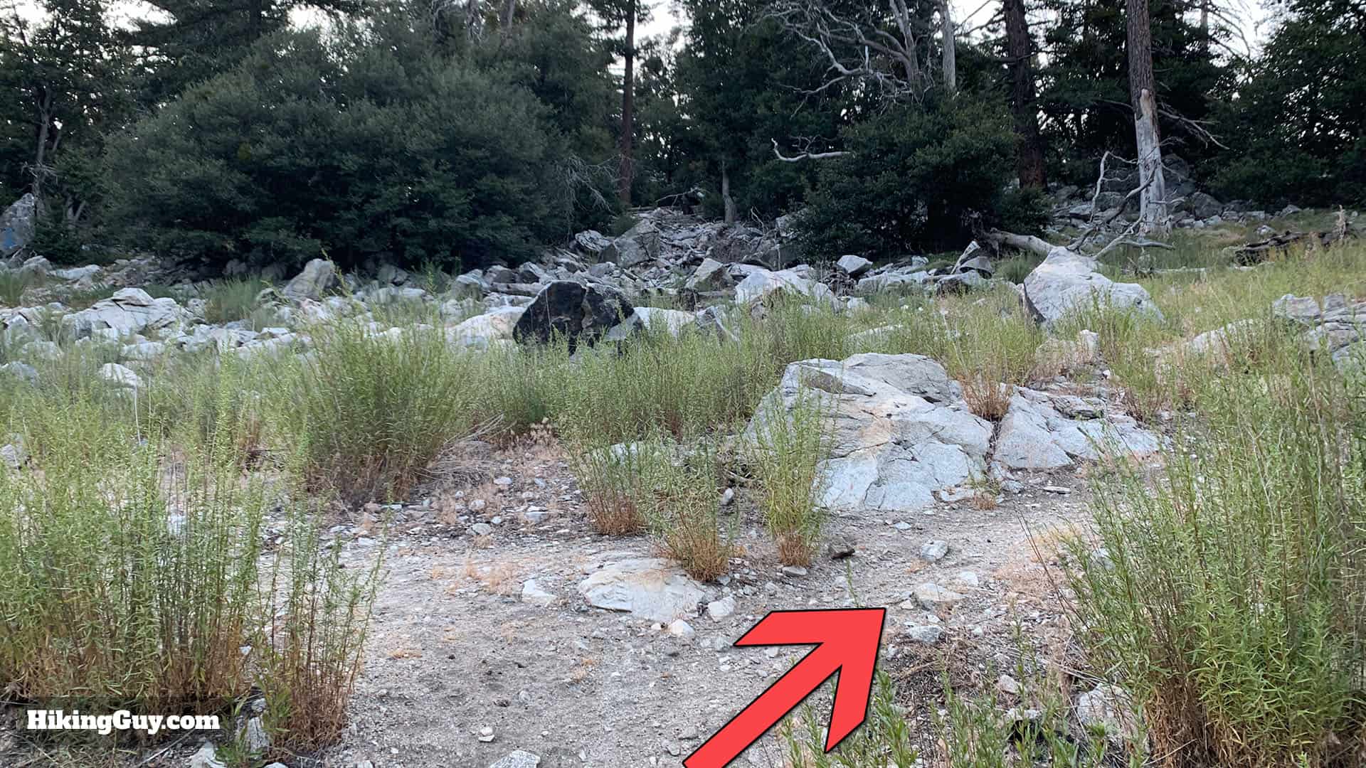 Mt Islip Hike From Crystal Lake 10