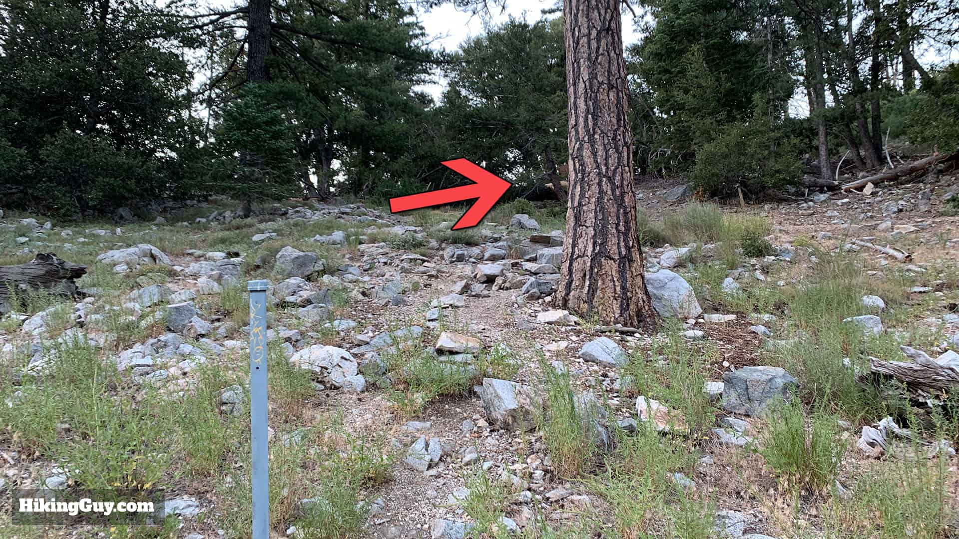 Mt Islip Hike From Crystal Lake 11