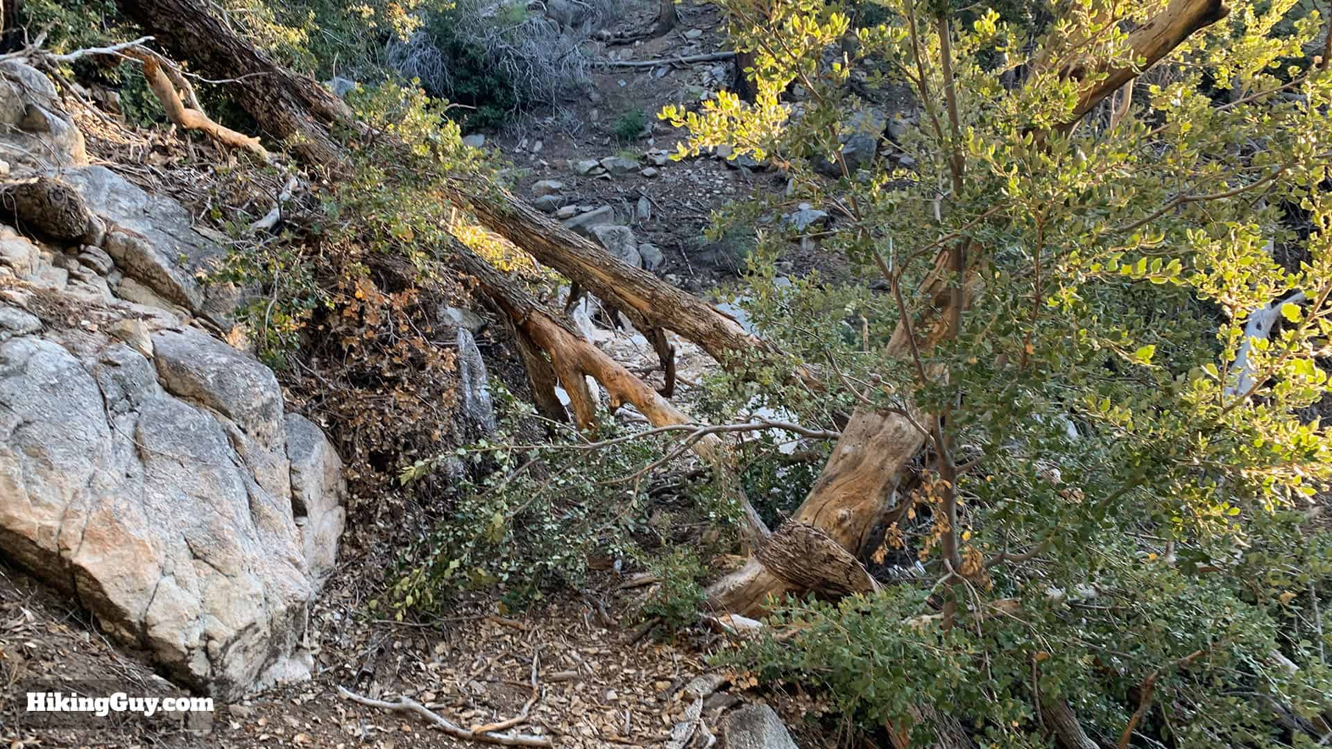 Mt Islip Hike From Crystal Lake 19