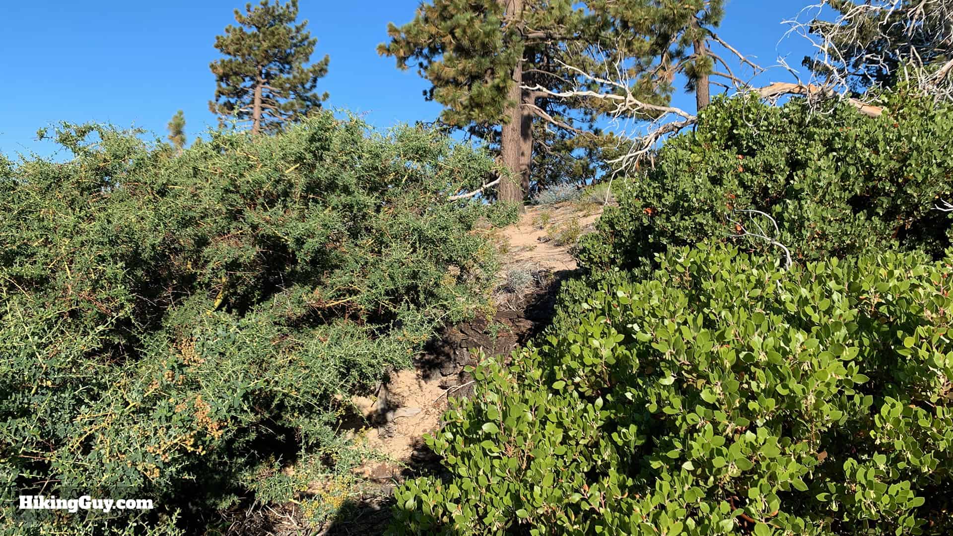 Mt Islip Hike From Crystal Lake 21