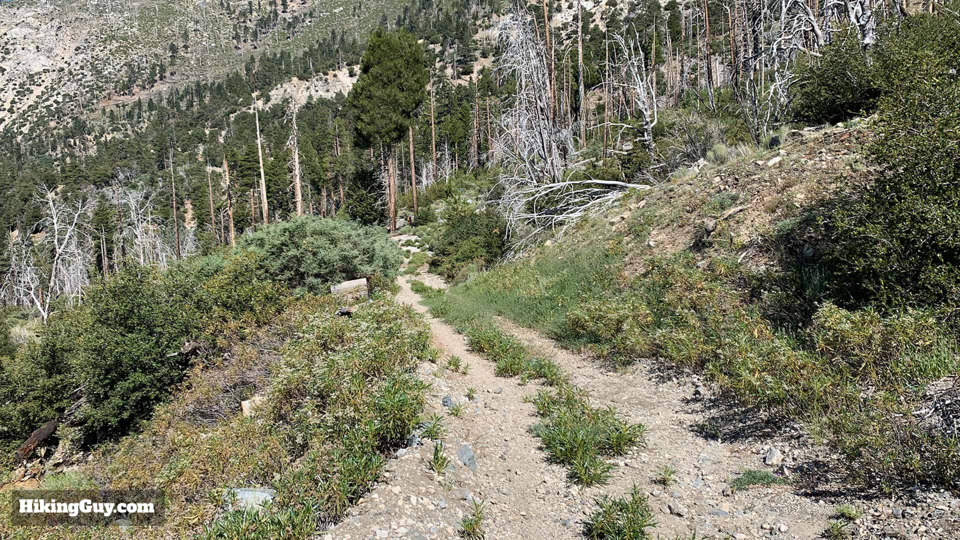 Mt Islip Hike From Crystal Lake 46