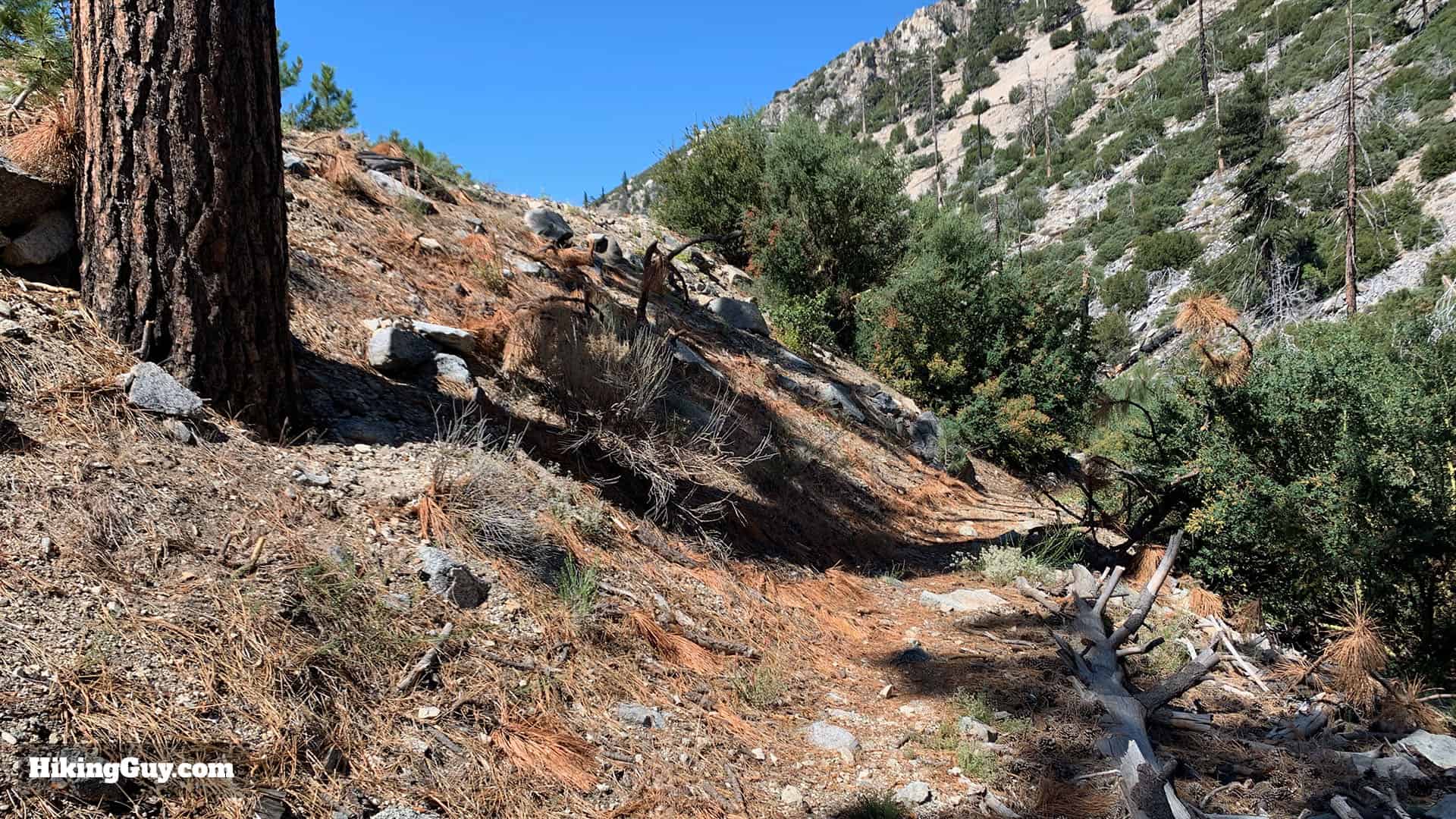 Mt Islip Hike From Crystal Lake 54