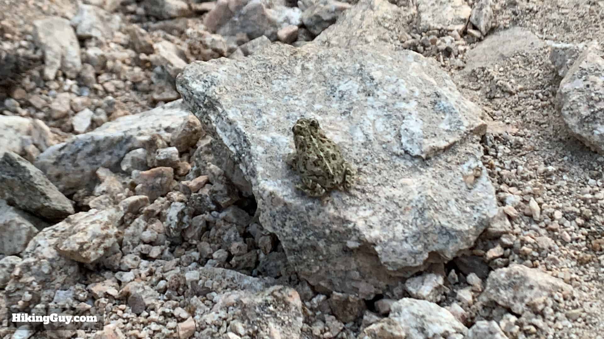 Mt Islip Hike From Crystal Lake 8