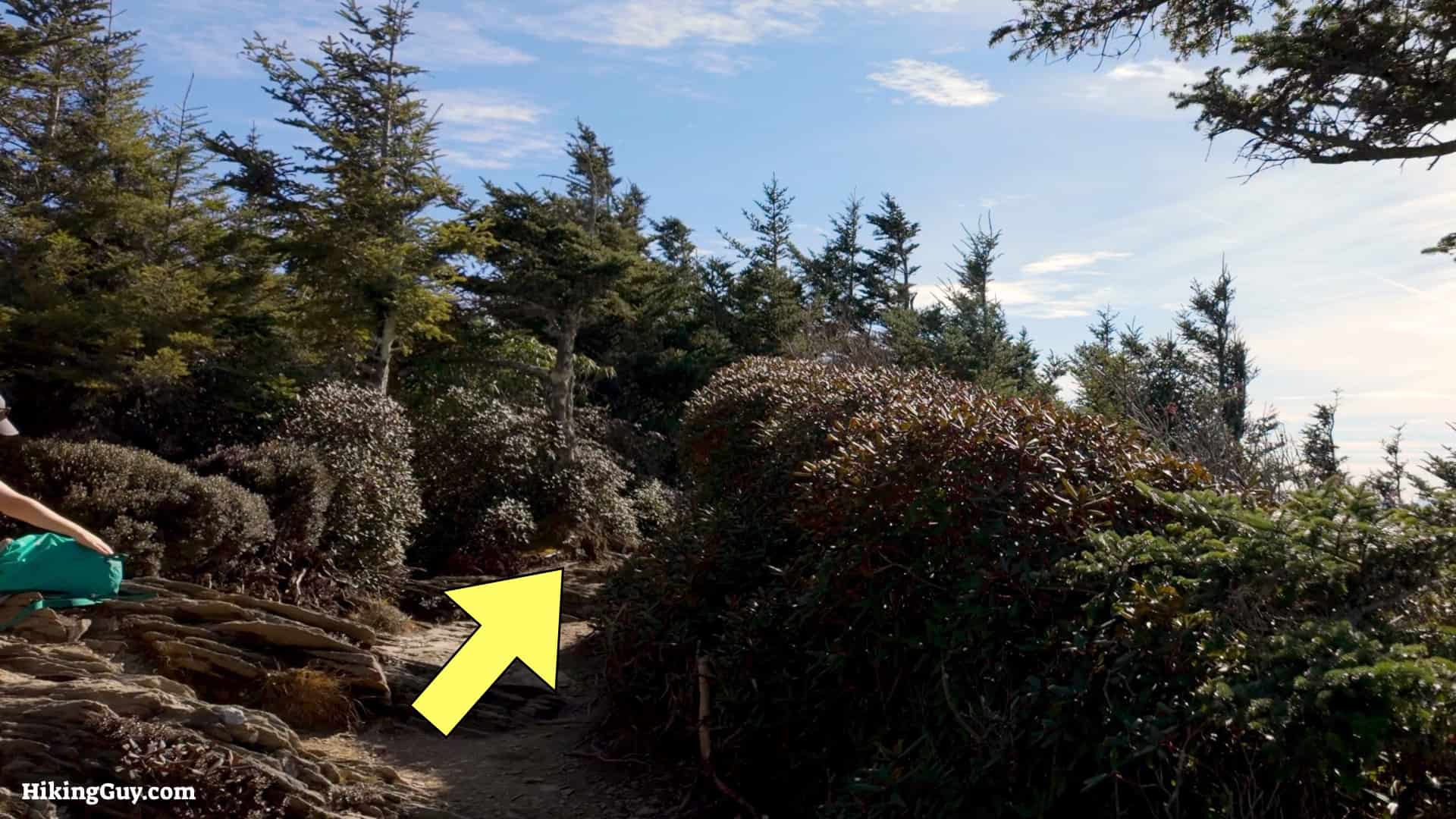 Mt Laconte Hike Directions 00014