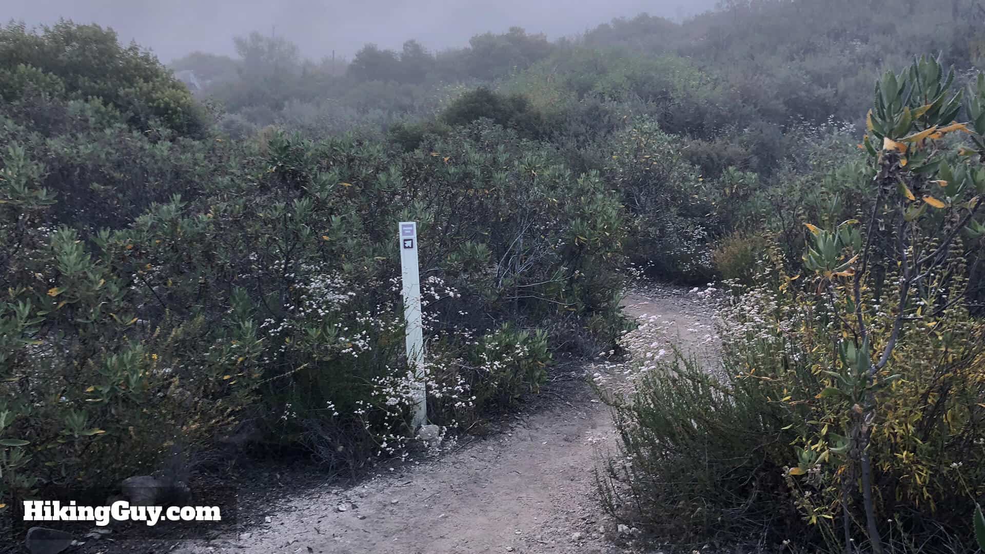 Mt Lukens Hike Directions 15