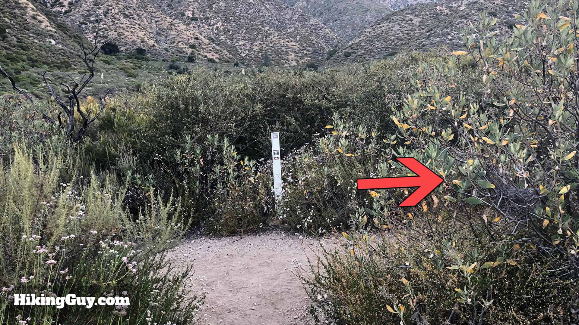 Mt Lukens Hike Directions 18