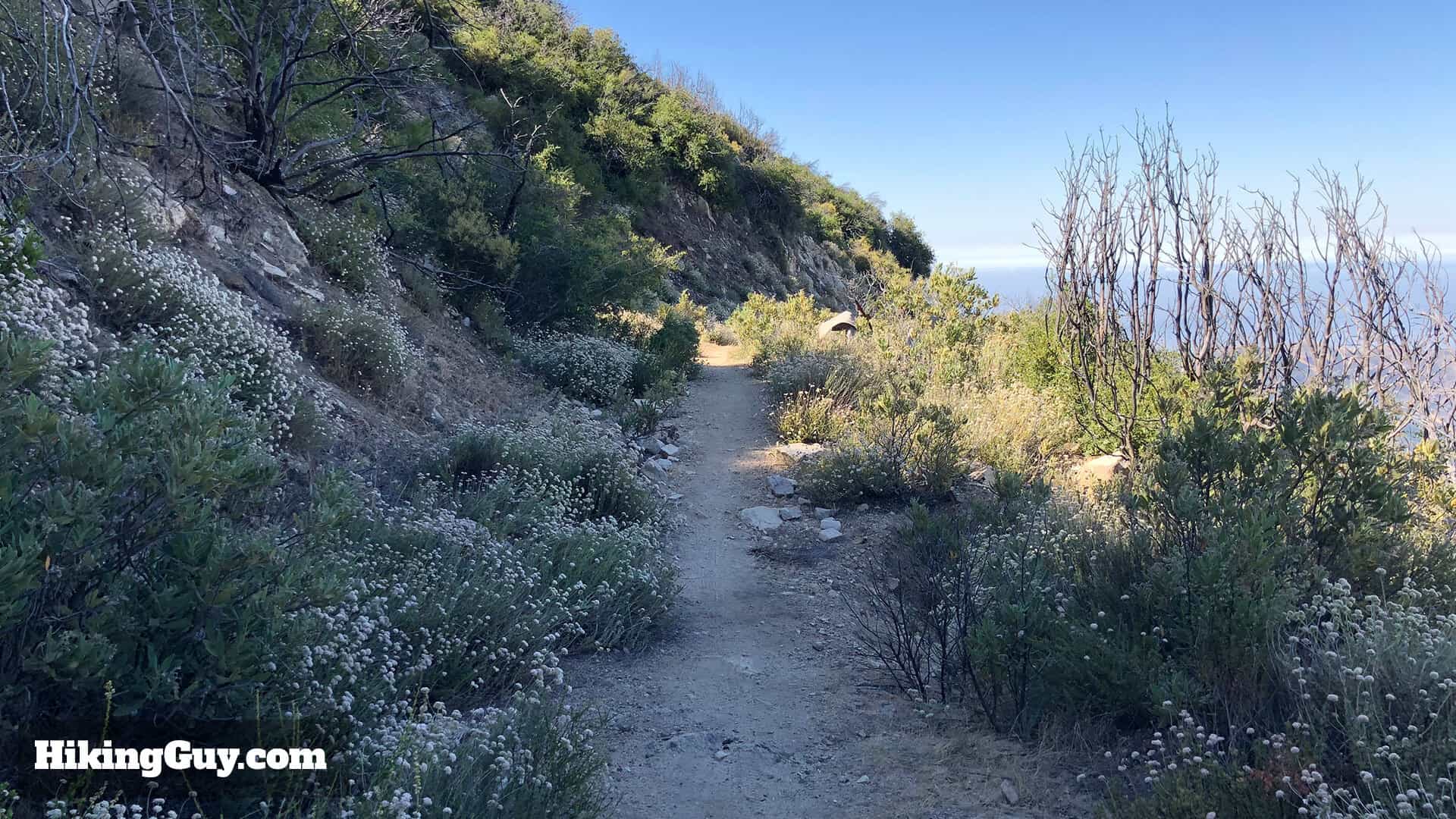 Mt Lukens Hike Directions 44