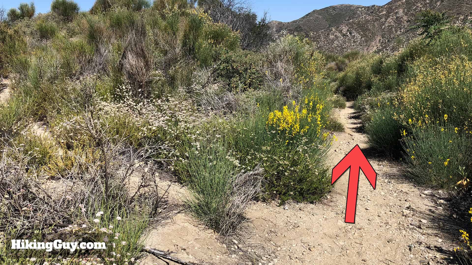 Mt Lukens Hike Directions 46