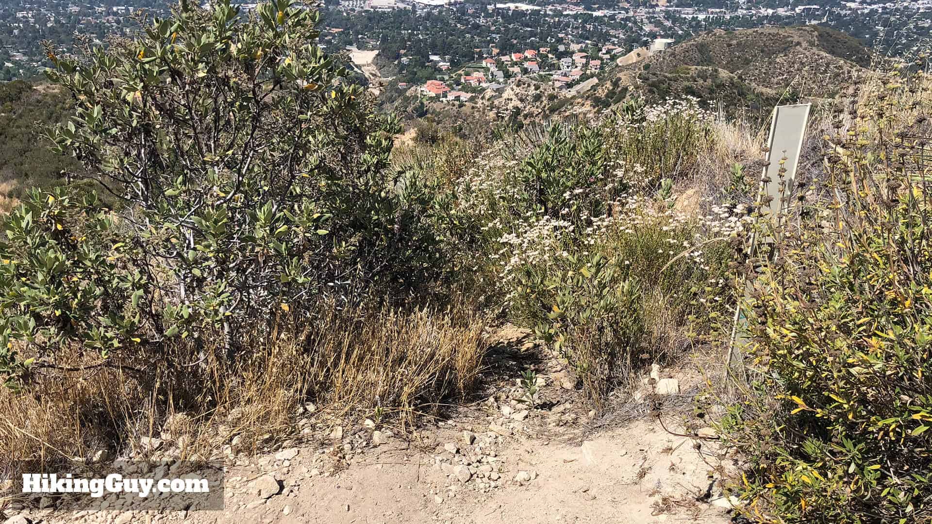 Mt Lukens Hike Directions 51