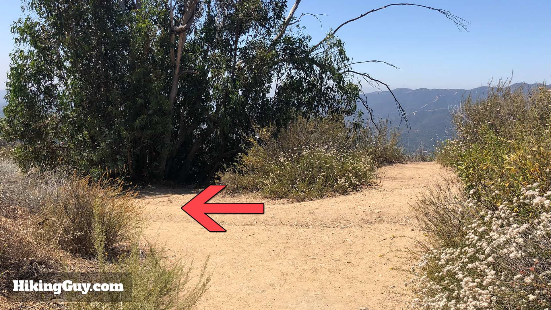 Mt Lukens Hike Directions 55
