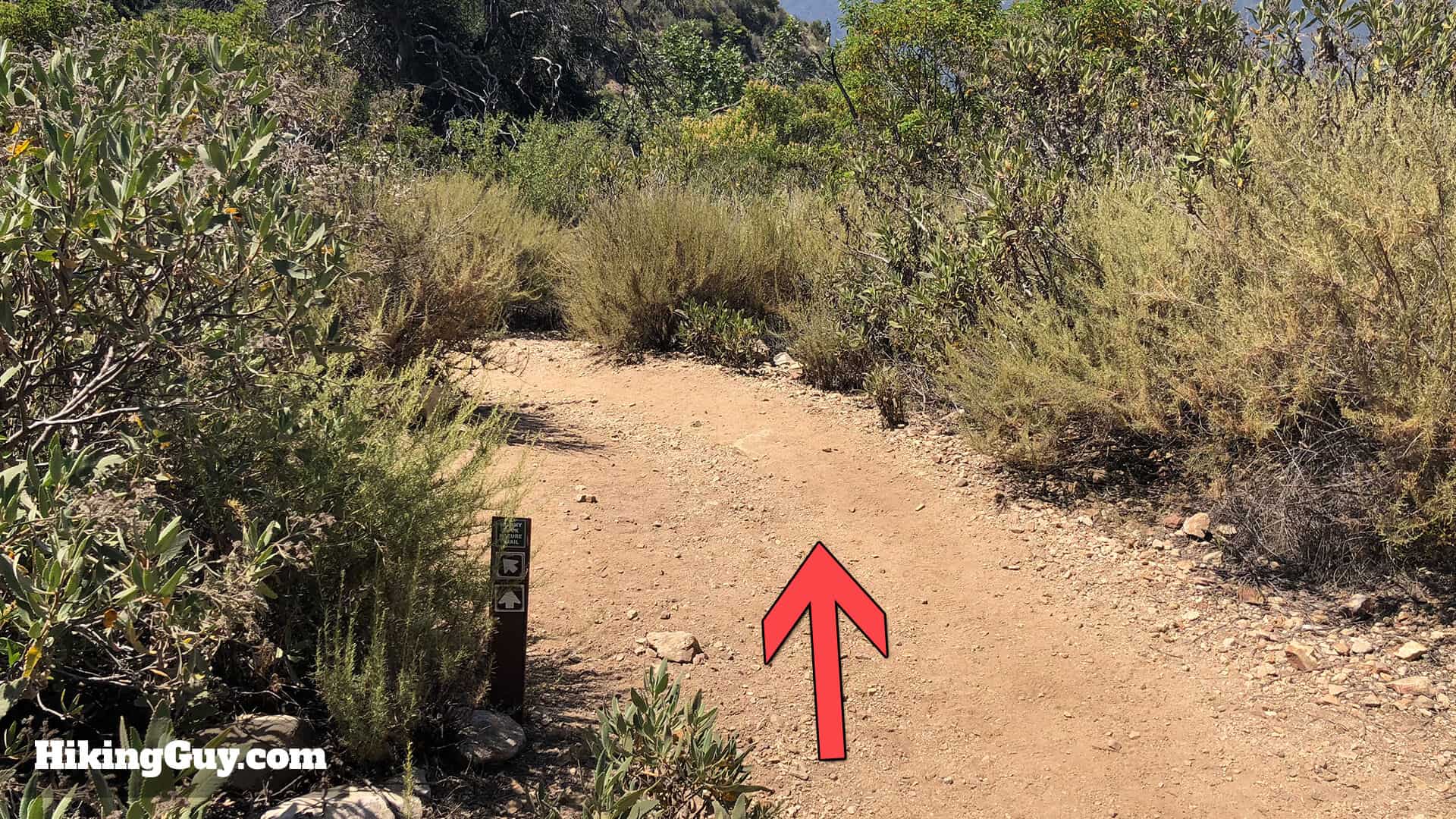 Mt Lukens Hike Directions 57