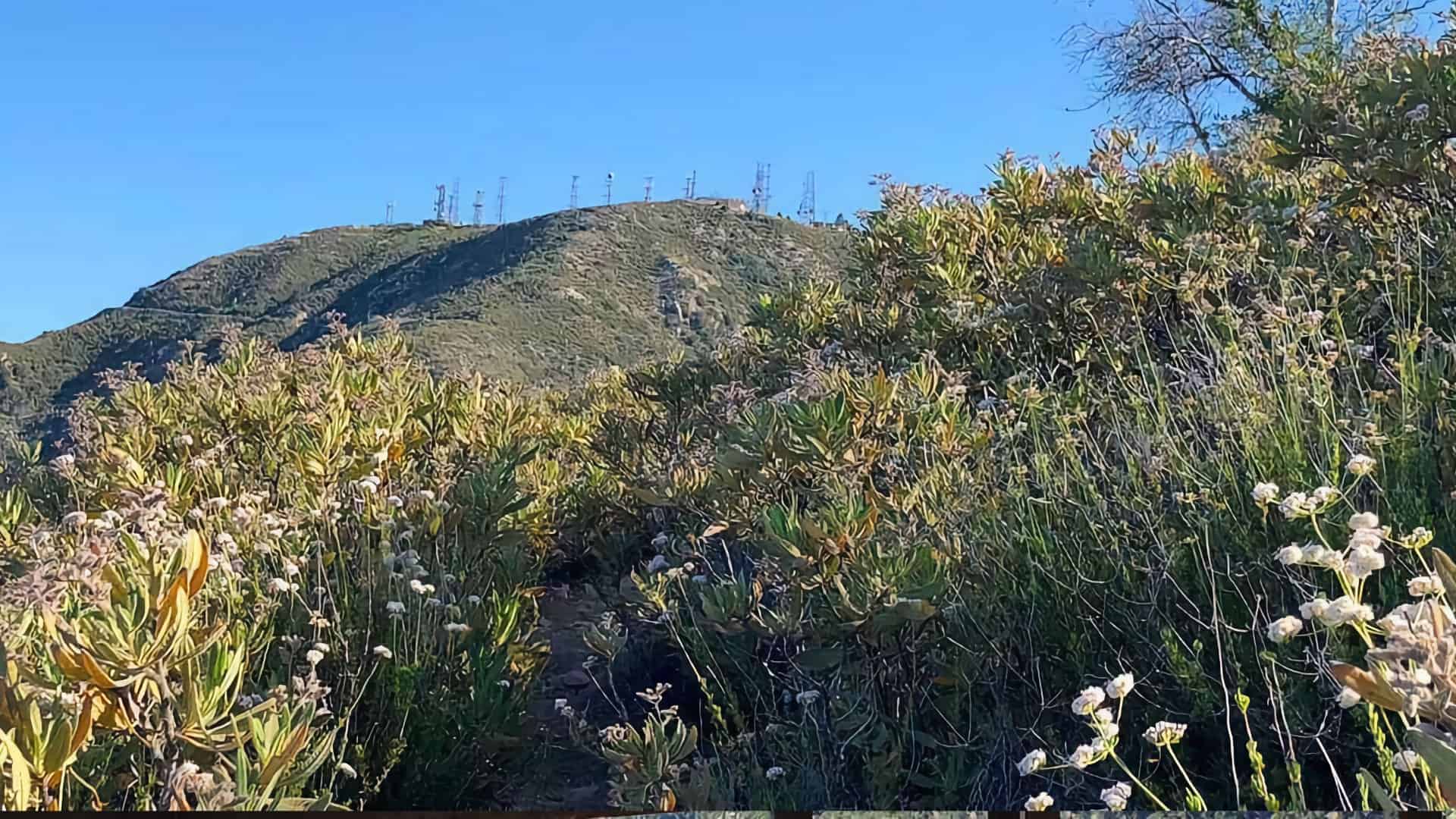 Hike Mt Lukens From Deukmejian Wilderness Park