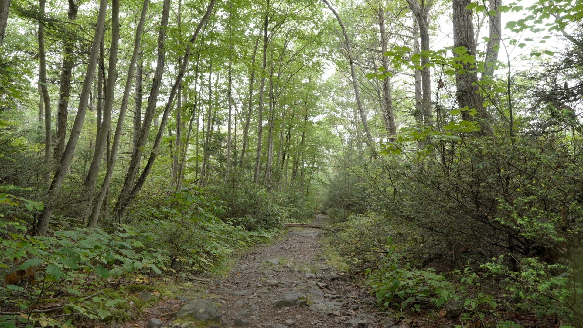 Mt Minsi Hike Directions 17