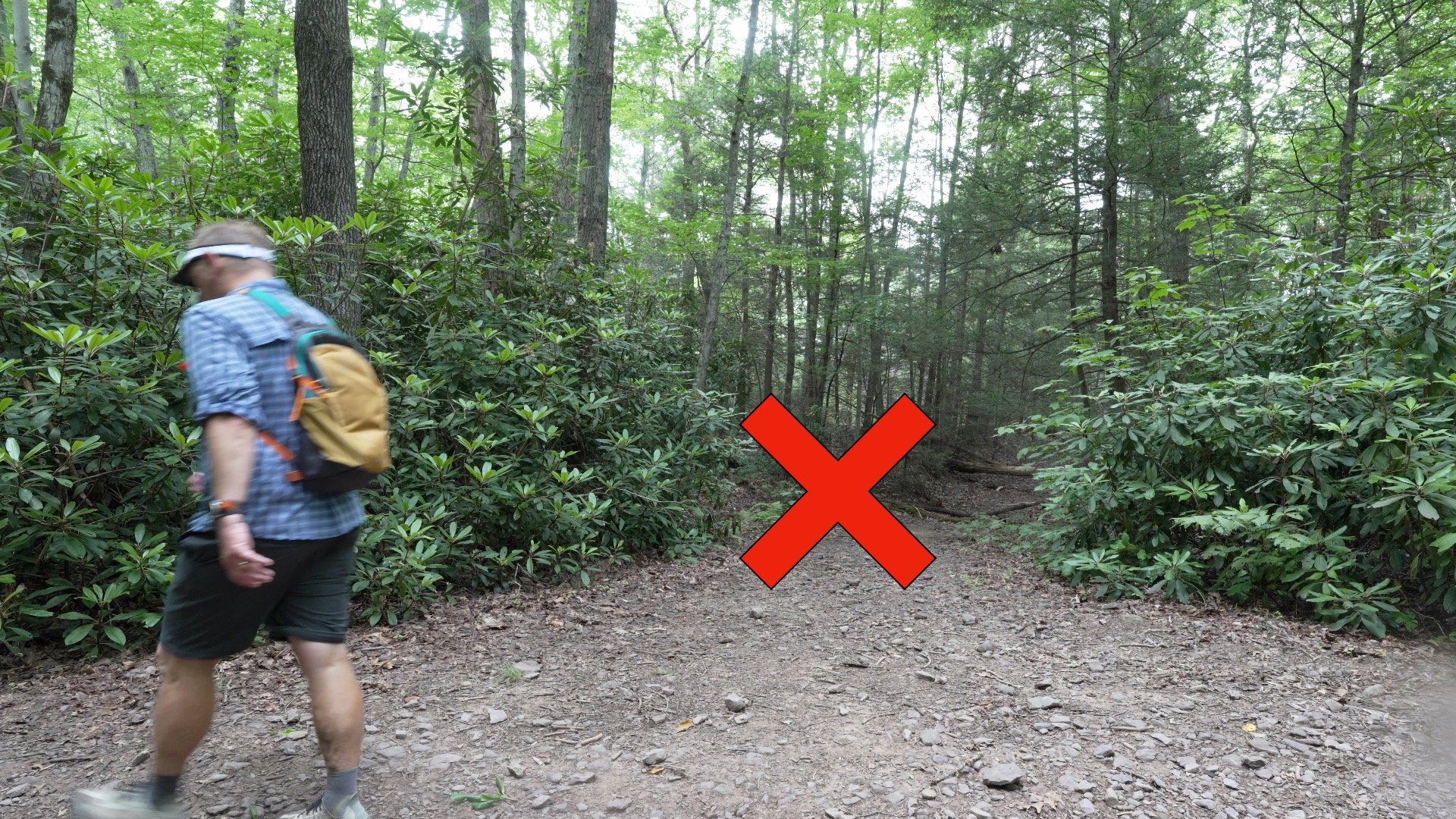 Mt Minsi Hike Directions 18