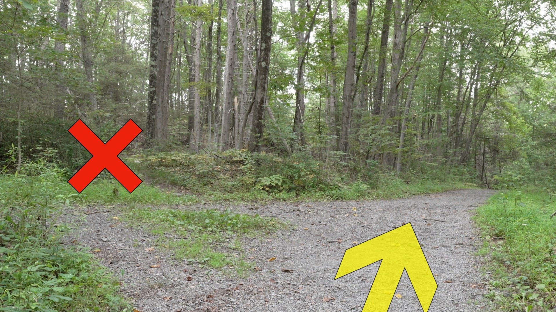 Mt Minsi Hike Directions 19