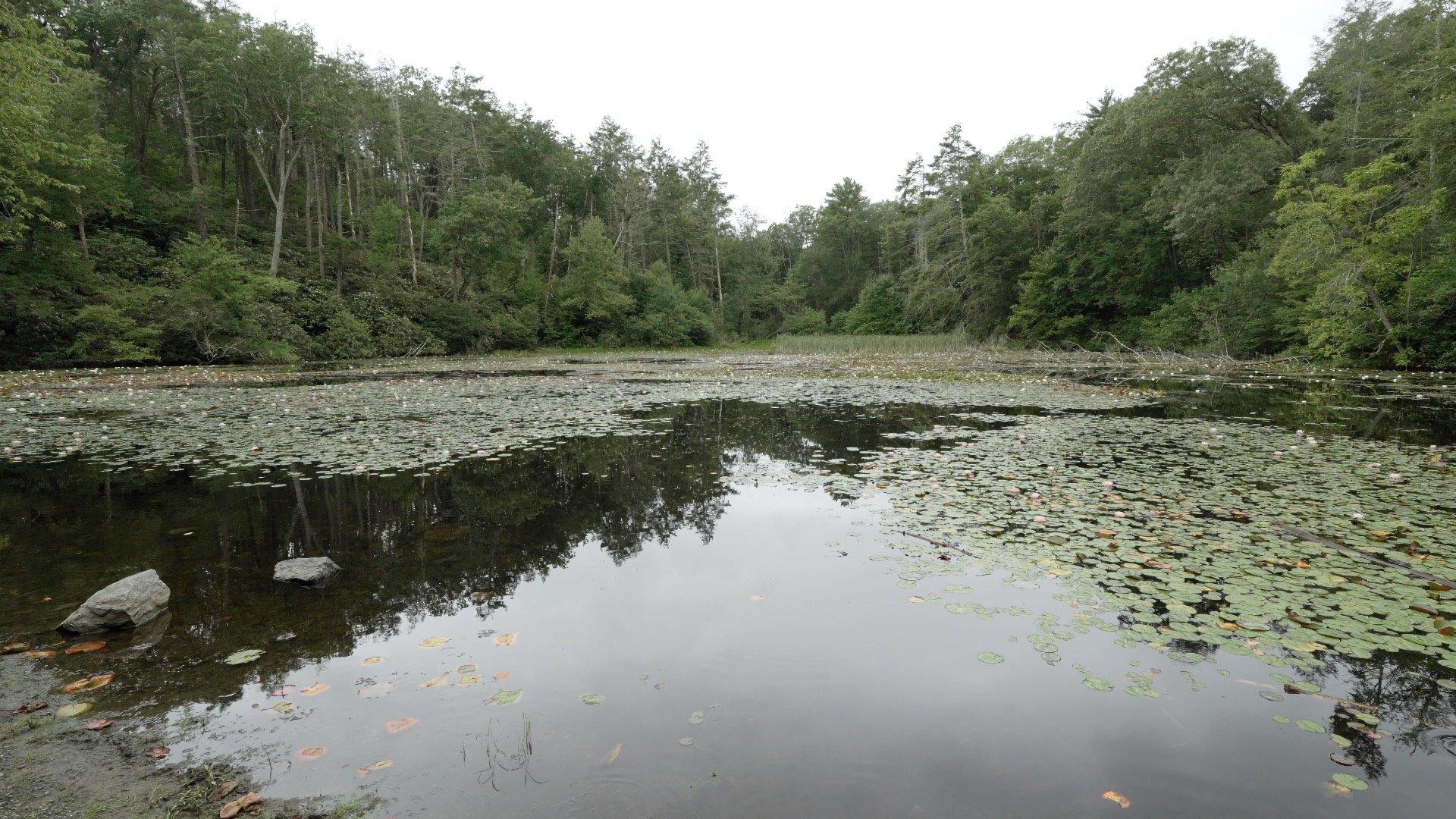 Mt Minsi Hike Directions 3