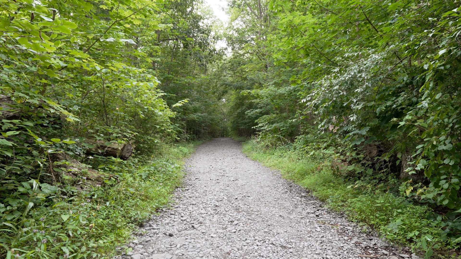 Mt Minsi Hike Directions 4