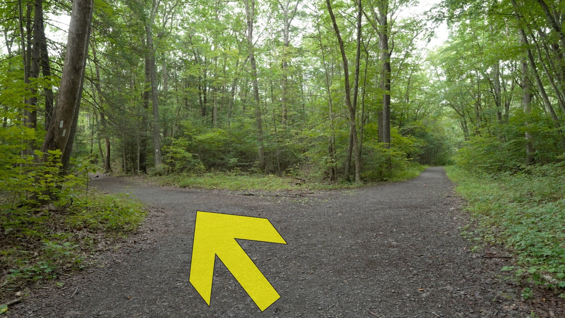 Mt Minsi Hike Directions 6