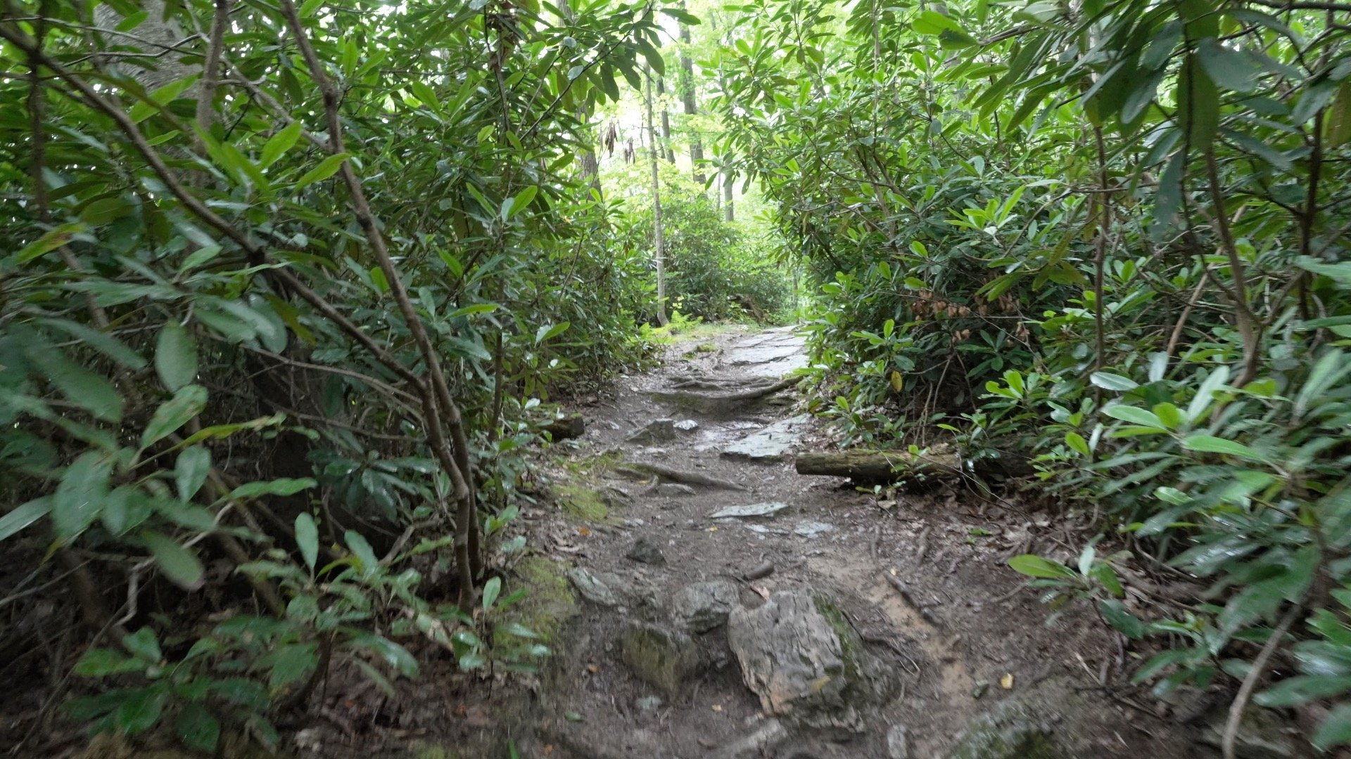 Mt Minsi Hike Directions 7