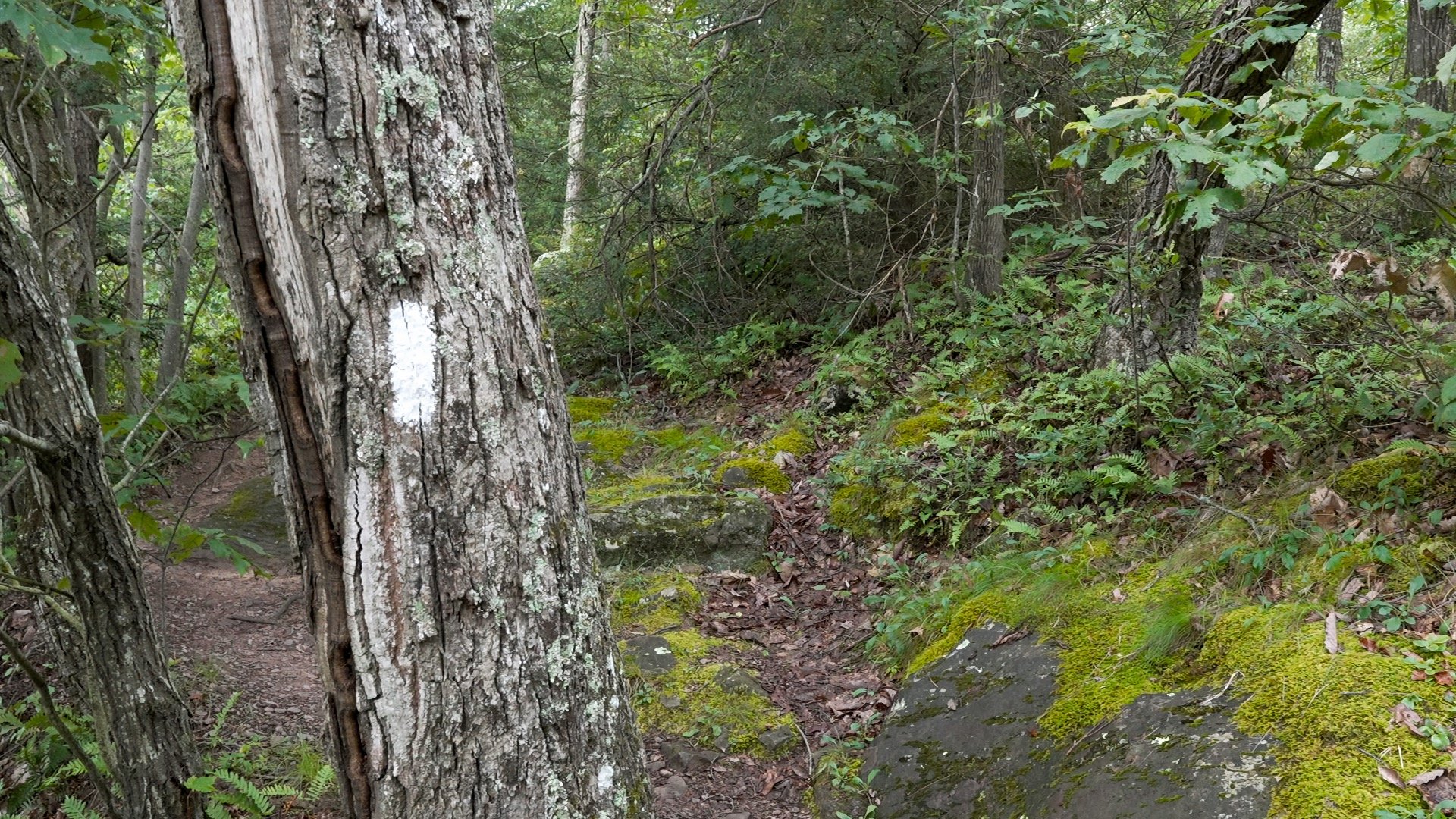 Mt Minsi Hike Directions 9