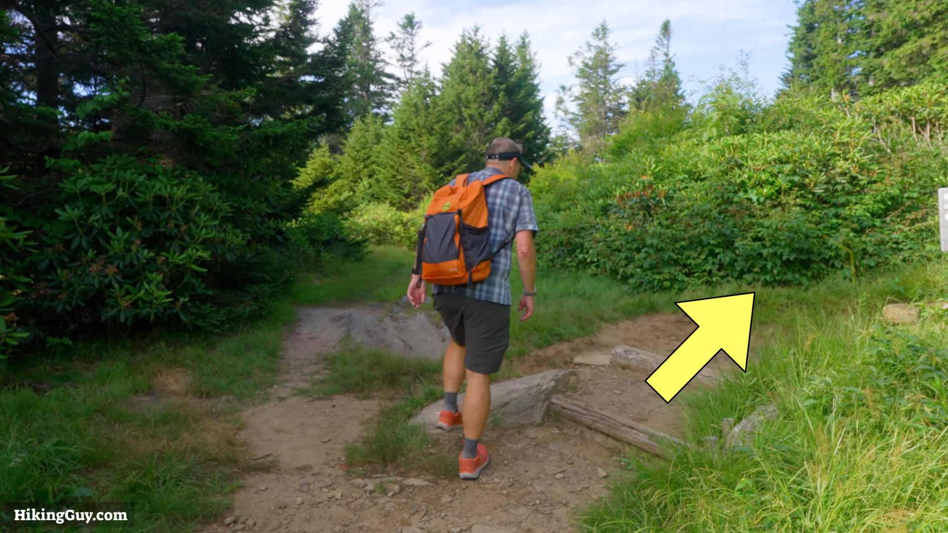 Mt Mitchell Hike Directions 10