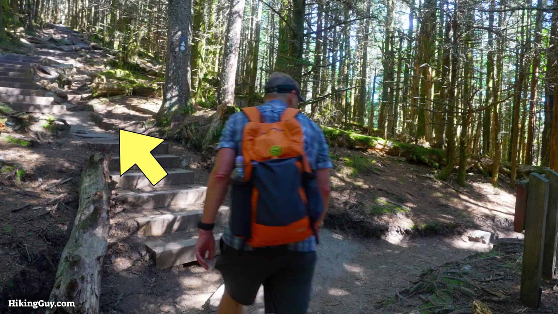 Mt Mitchell Hike Directions 12