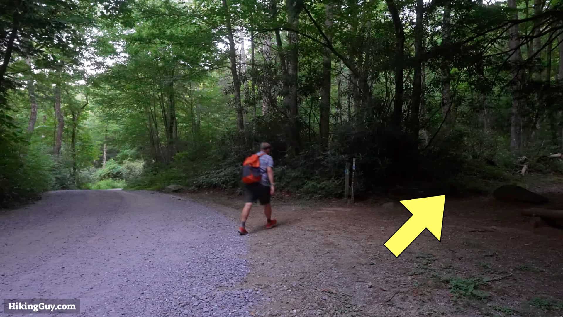 Mt Mitchell Hike Directions 4