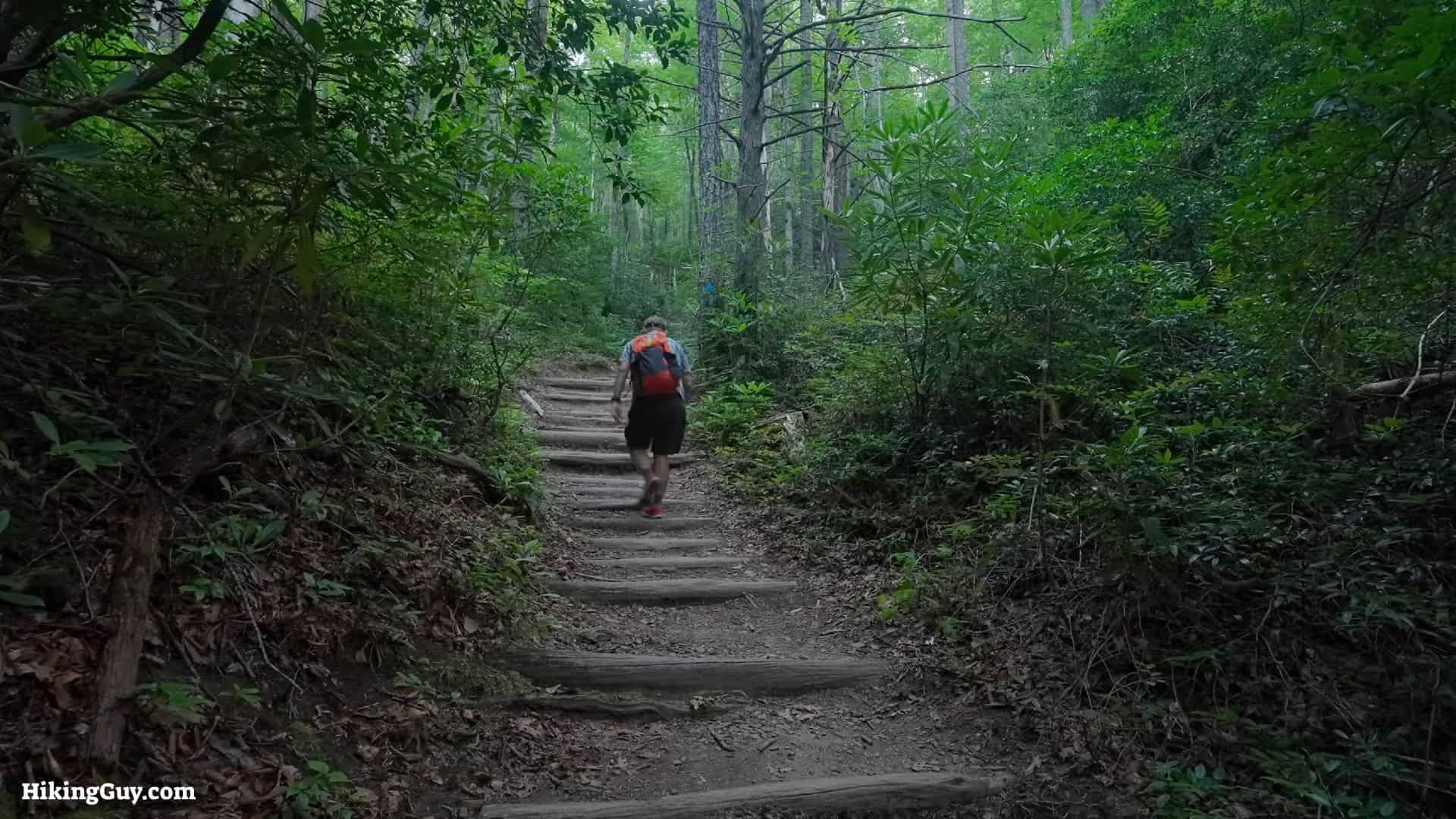 Mt Mitchell Hike Directions 5