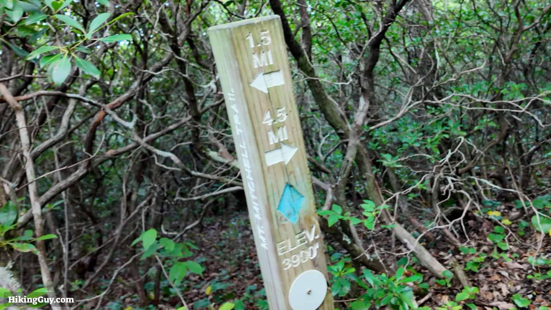 Mt Mitchell Hike Directions 6