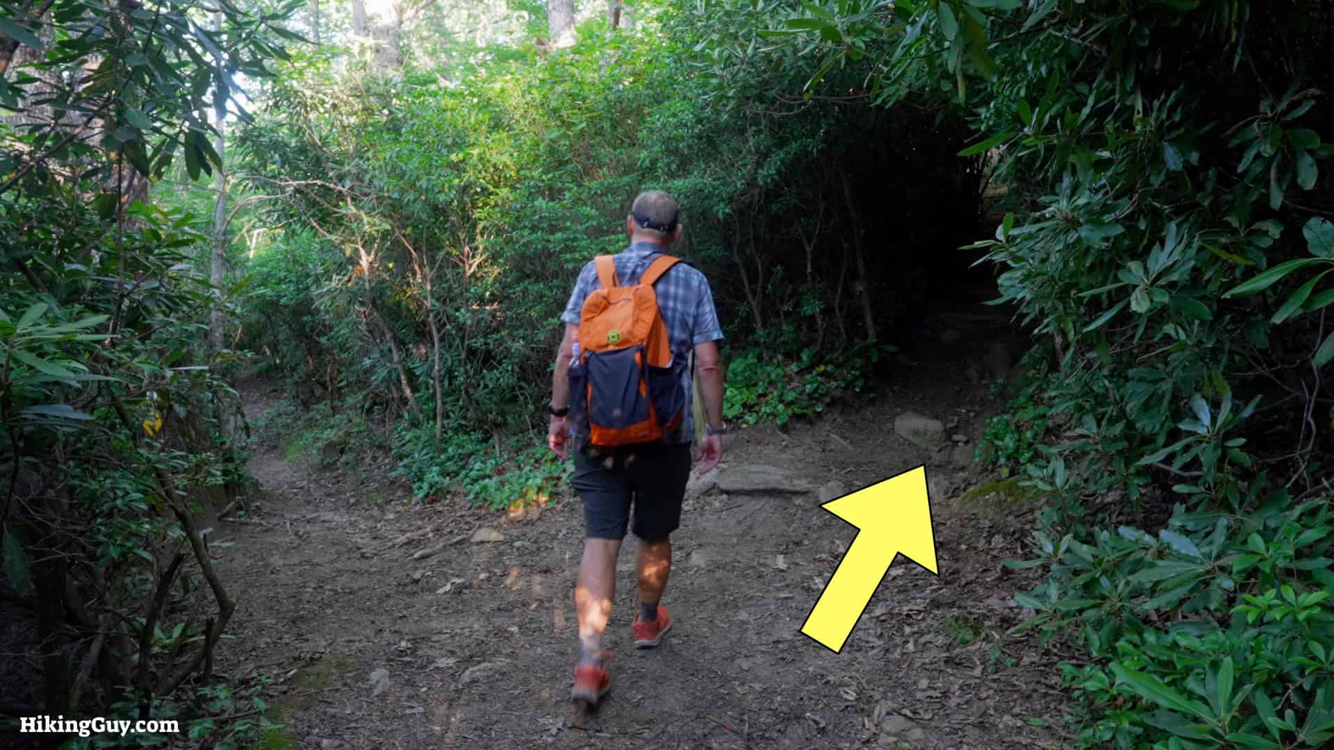 Mt Mitchell Hike Directions 7