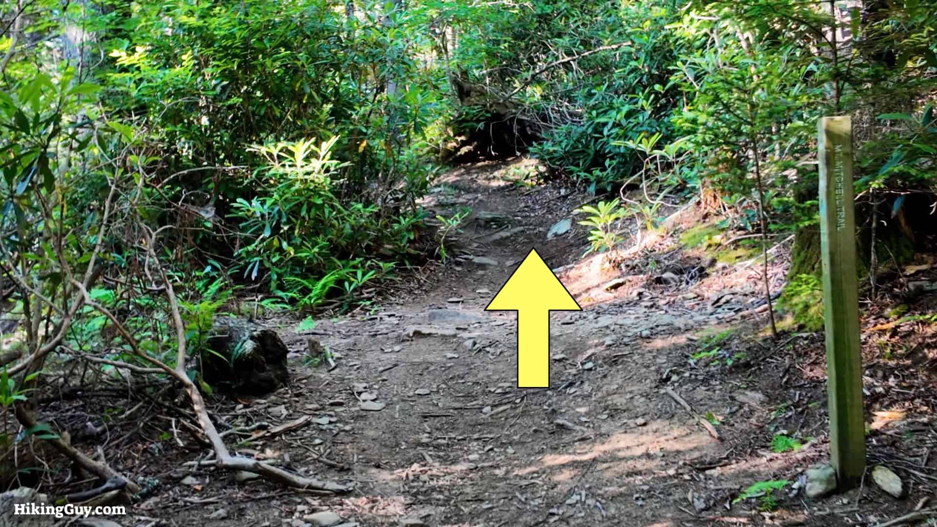 Mt Mitchell Hike Directions 8