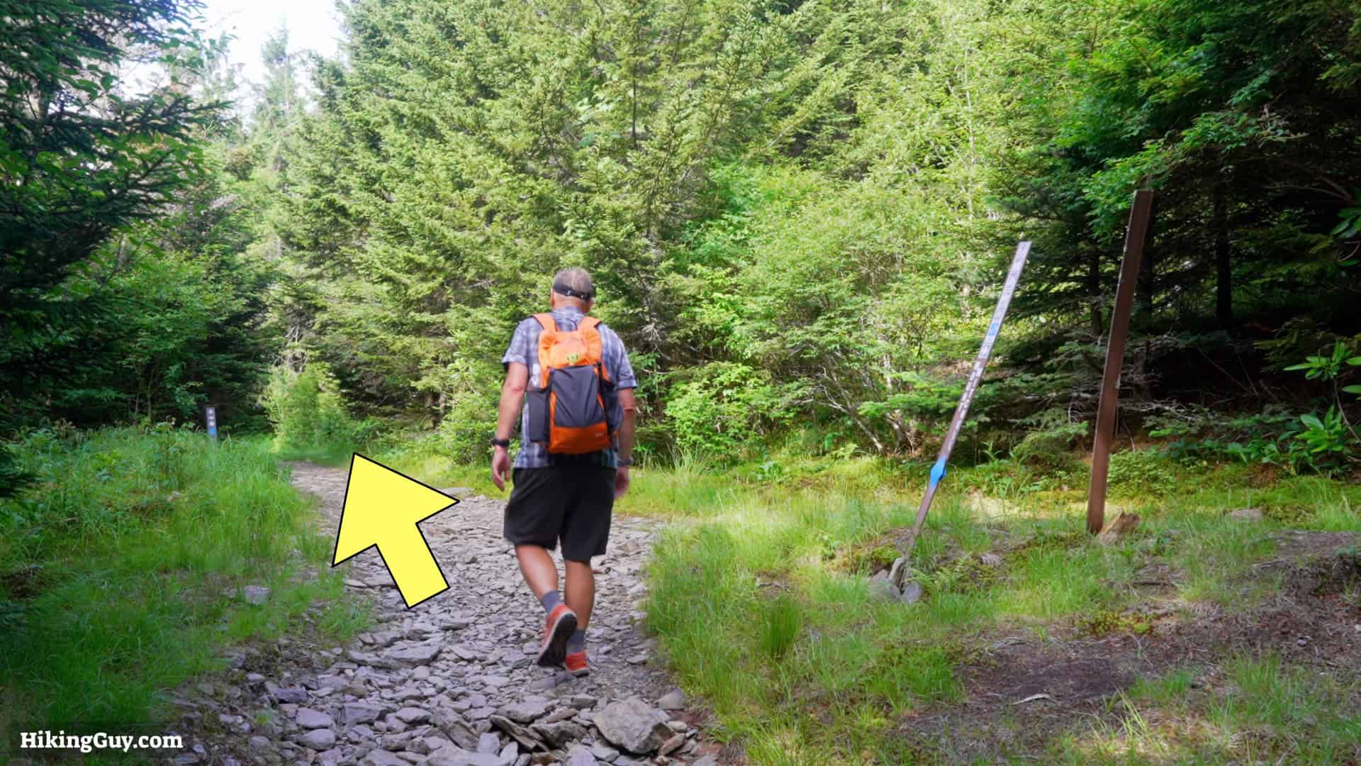 Mt Mitchell Hike Directions 9