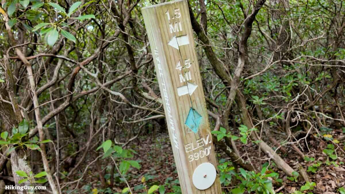 Mt Mitchell Hike Marker 2