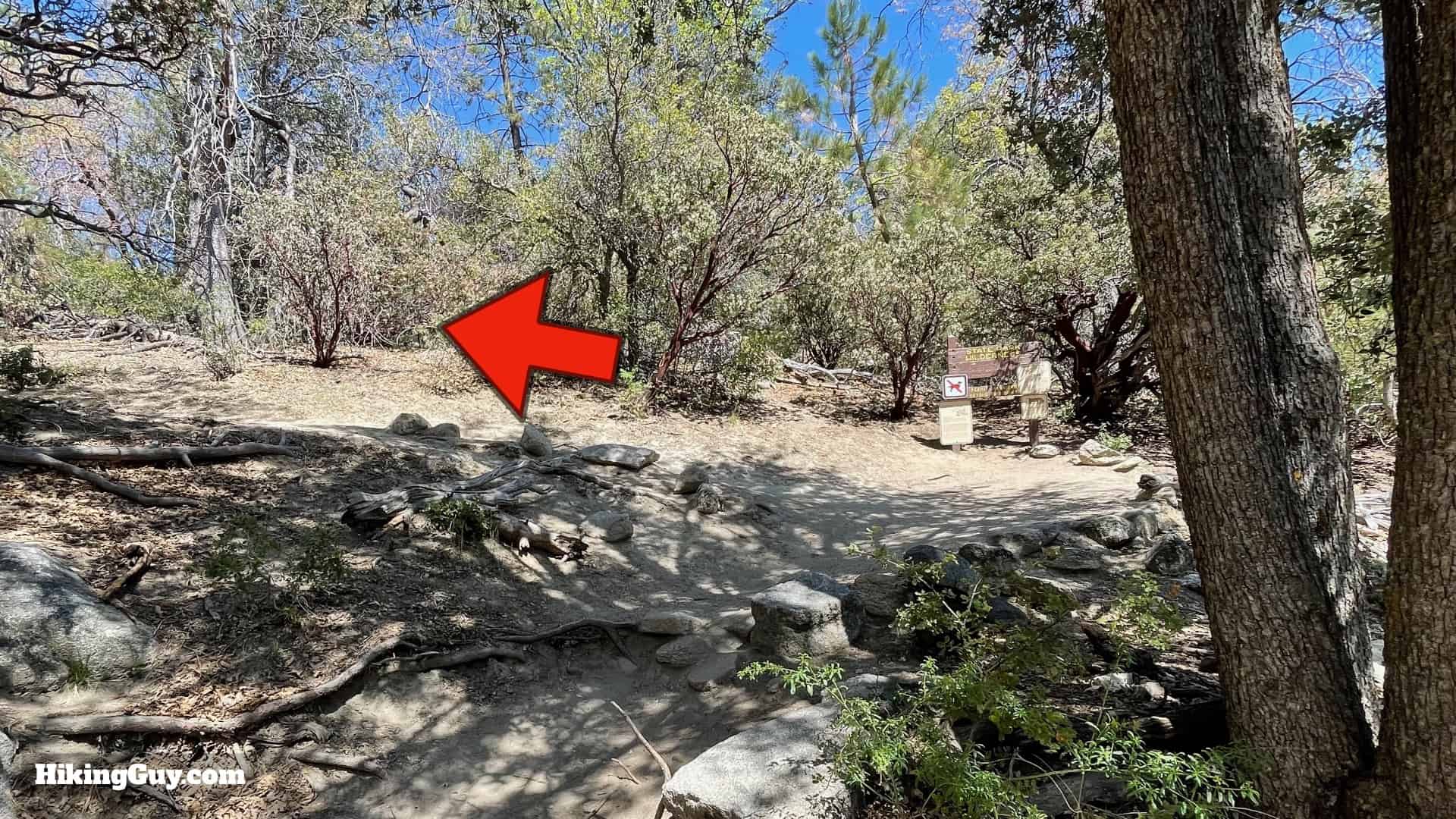 Mt San Jacinto Deer Springs Trail 12