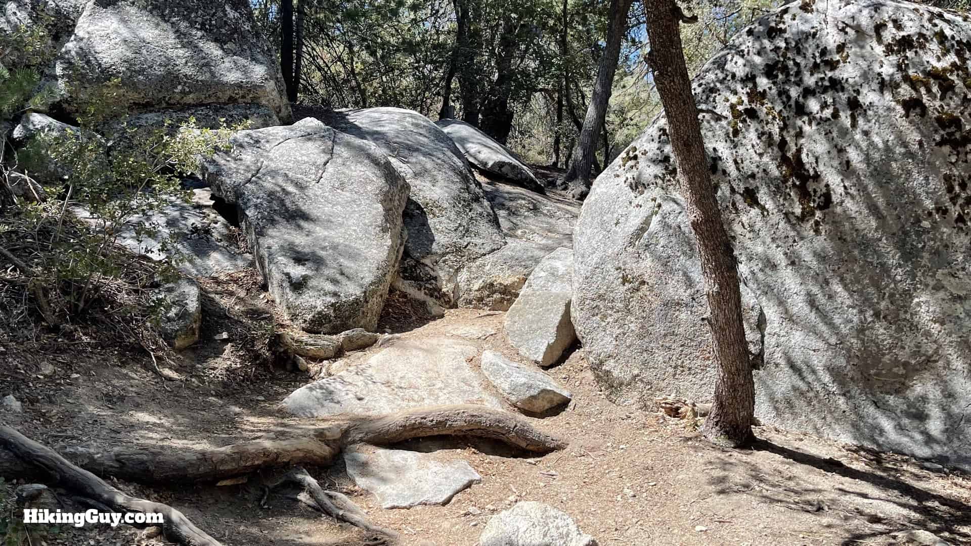 Mt San Jacinto Deer Springs Trail 14