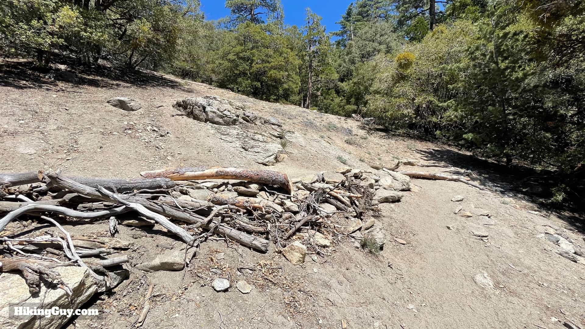 Mt San Jacinto Deer Springs Trail 15