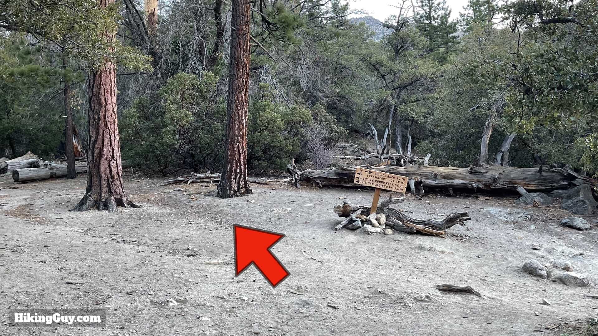 Mt San Jacinto Deer Springs Trail 17