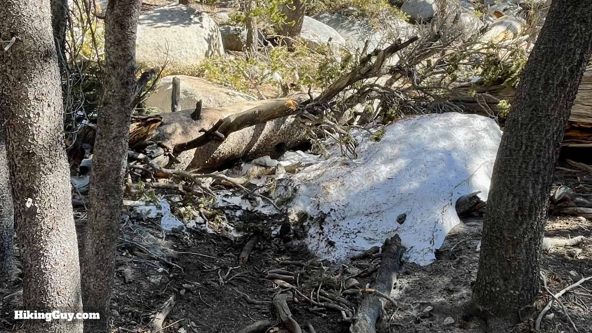 Mt San Jacinto Deer Springs Trail 2
