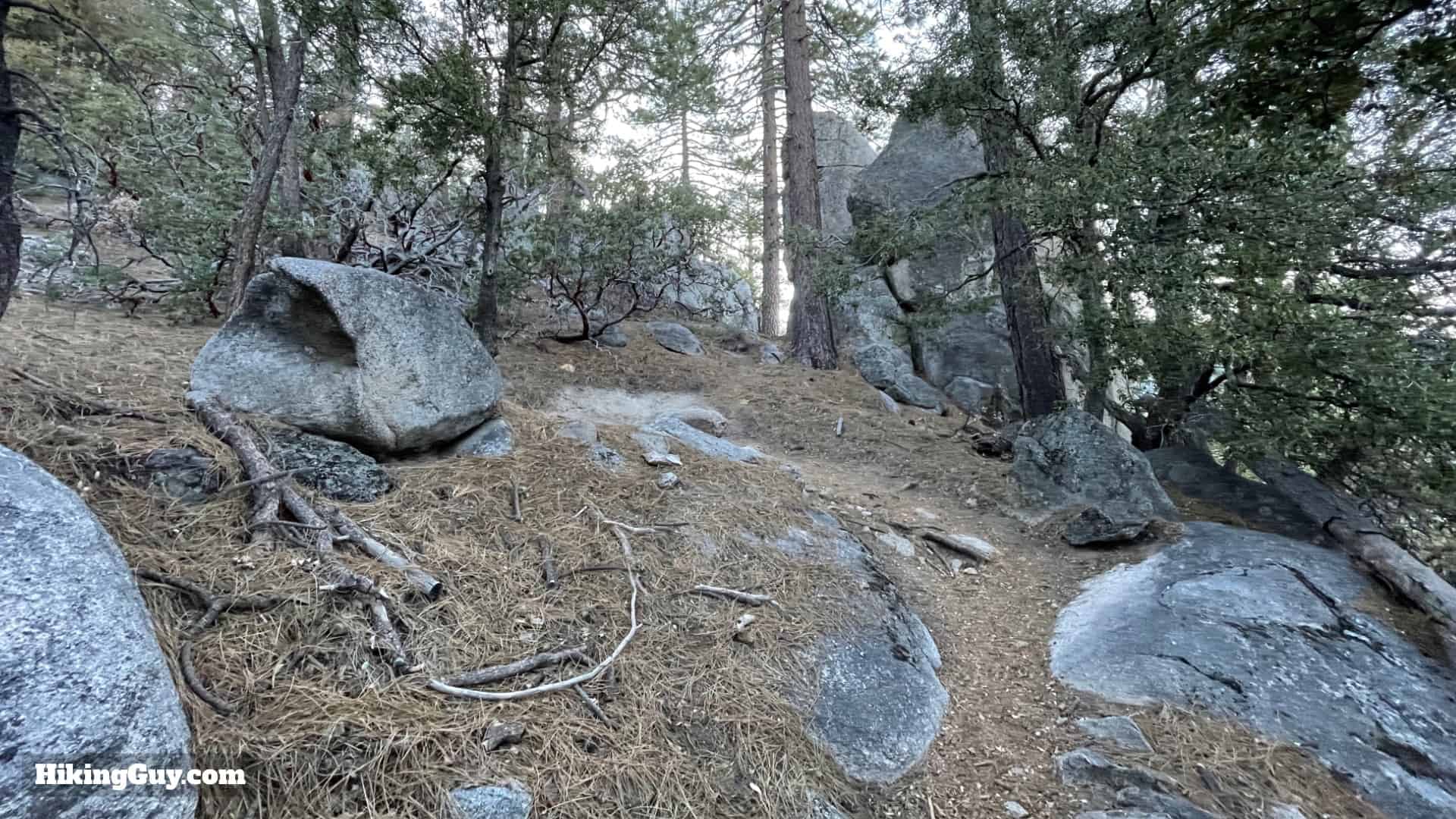 Mt San Jacinto Deer Springs Trail 20