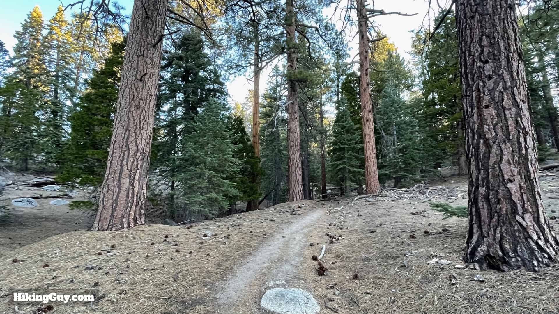 Mt San Jacinto Deer Springs Trail 21