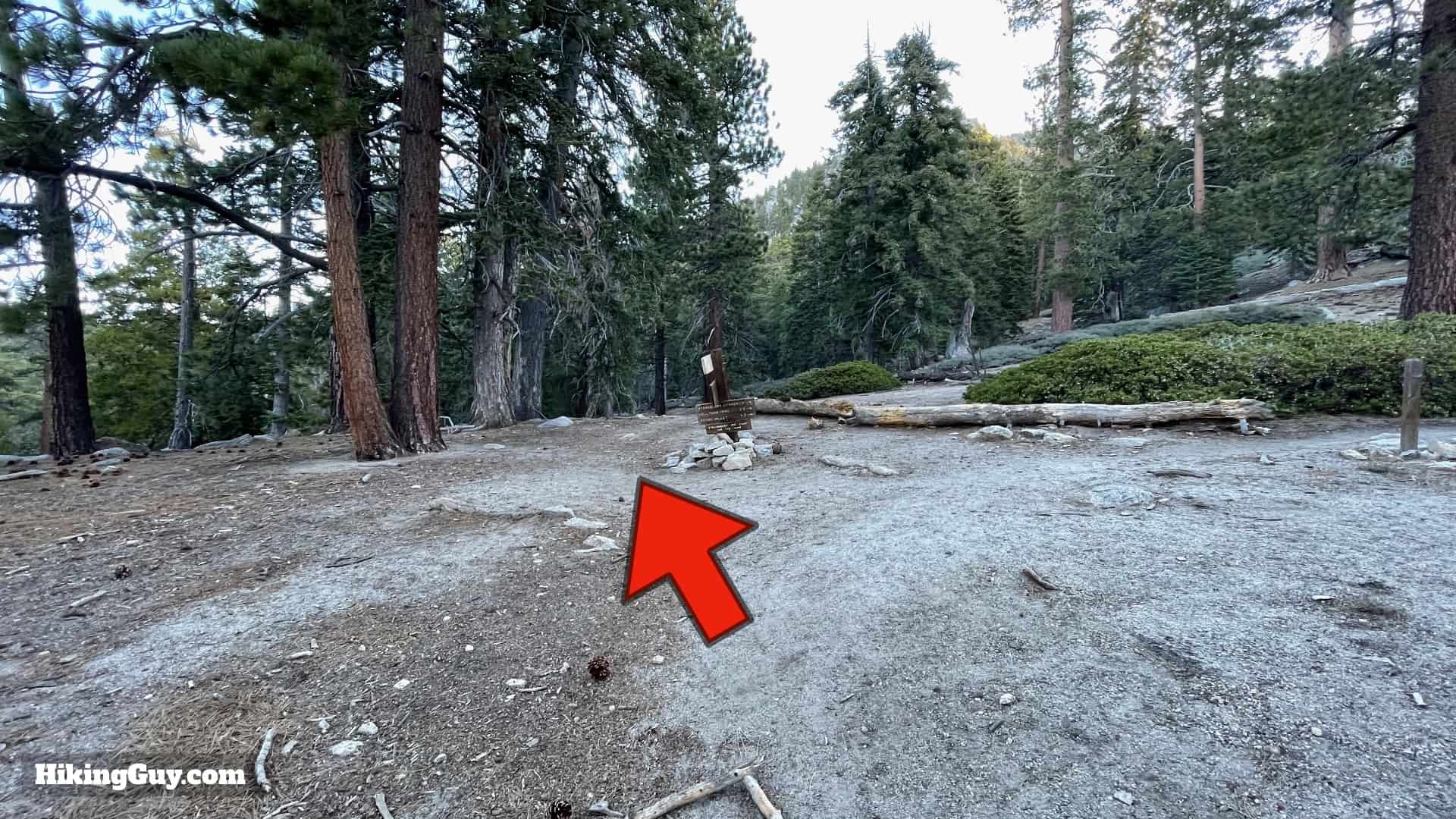 Mt San Jacinto Deer Springs Trail 22