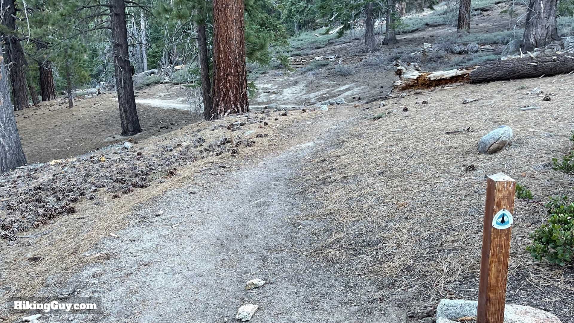 Mt San Jacinto Deer Springs Trail 24