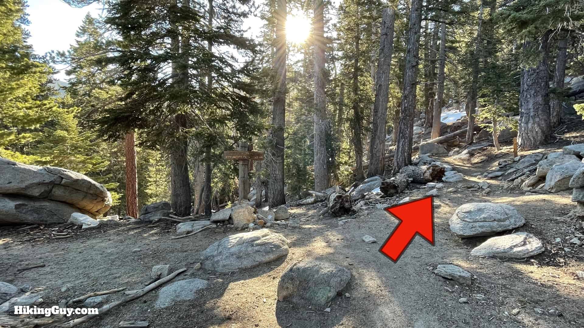 Mt San Jacinto Deer Springs Trail 33