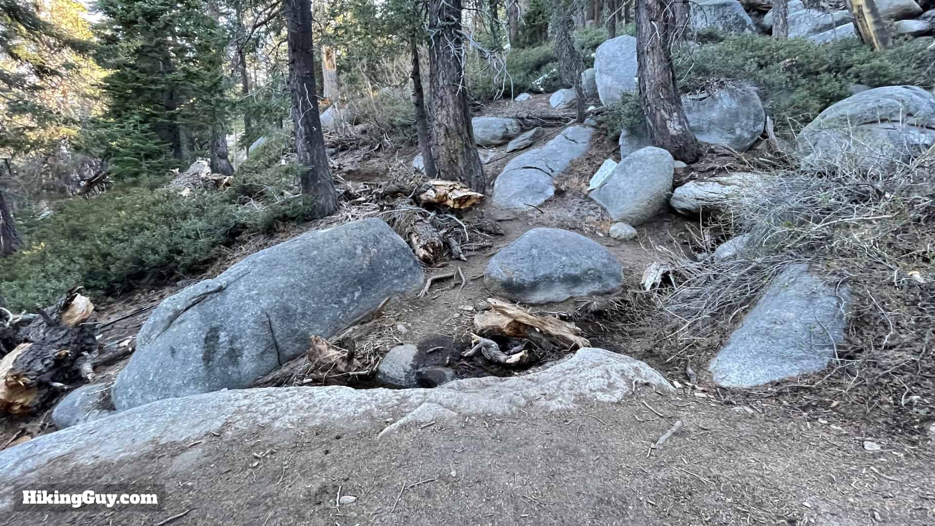 Mt San Jacinto Deer Springs Trail 35