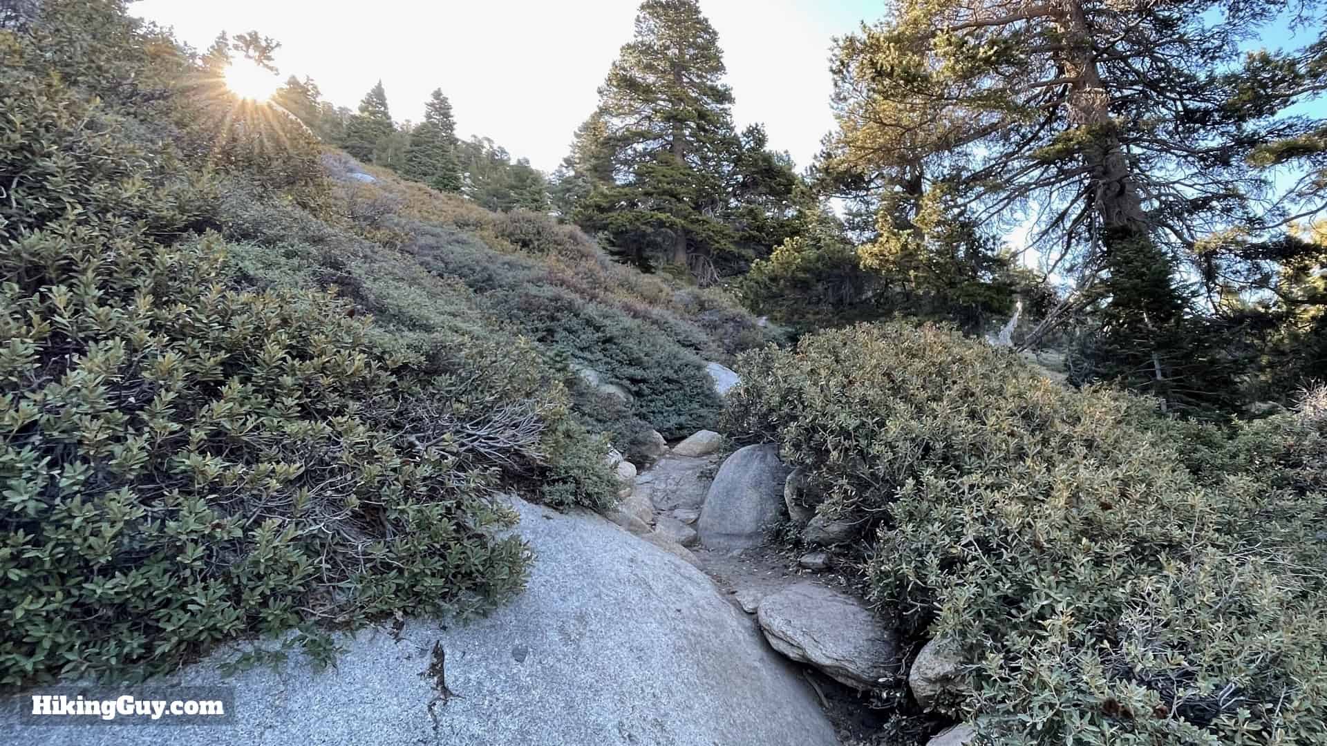 Mt San Jacinto Deer Springs Trail 38
