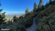 Mt San Jacinto Deer Springs Trail 39