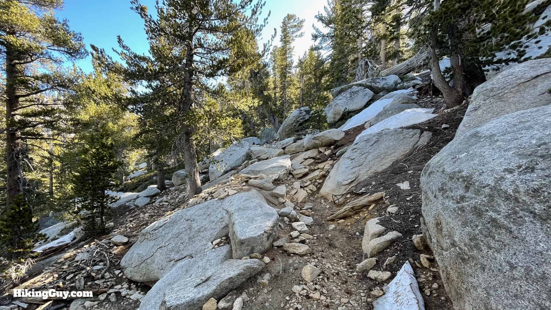 Mt San Jacinto Deer Springs Trail 40