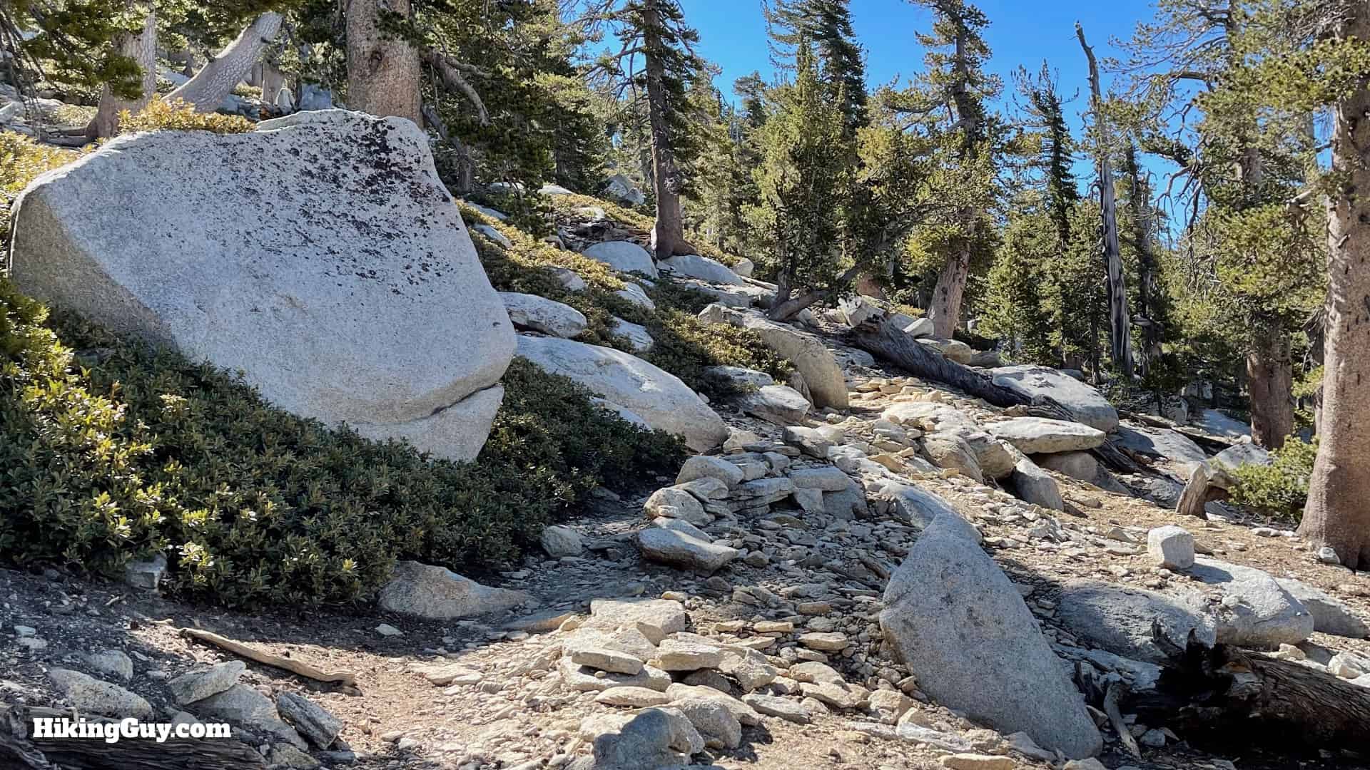 Mt San Jacinto Deer Springs Trail 48
